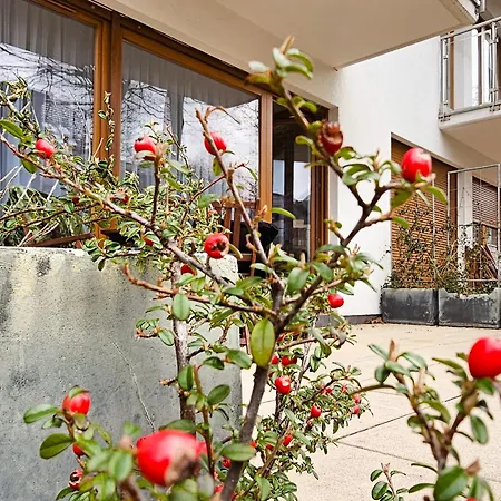 Visit Baltic - Sienkiewicza Loft Przy Plazy * Świnoujście